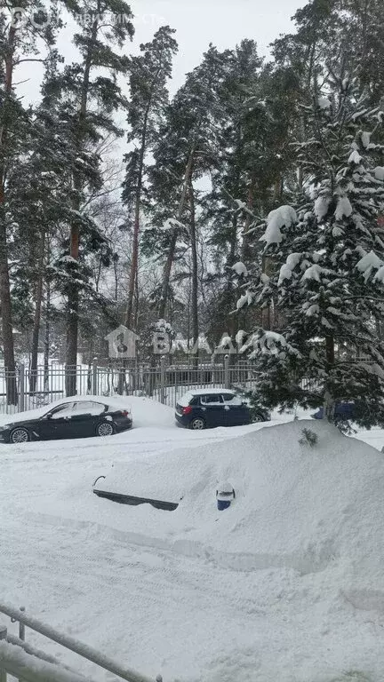 1-комнатная квартира: деревня Аристово, Светлая улица, 23 (43.9 м) - Фото 1