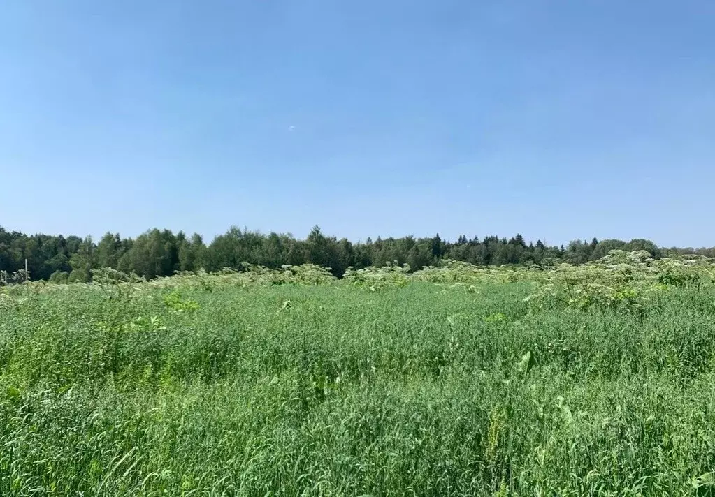 Участок в Московская область, Истра  (16.17 сот.) - Фото 1