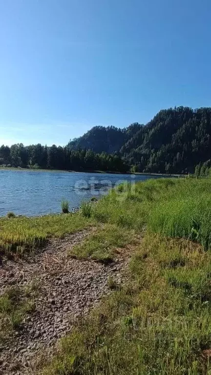 Участок в Алтай, Турочакский район, с. Артыбаш  (6.3 сот.) - Фото 0