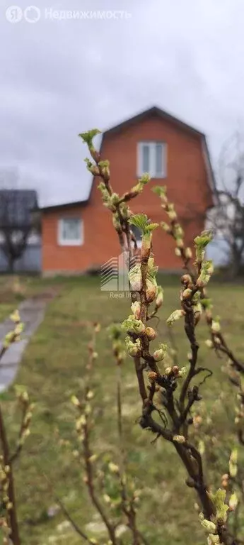 Дом в посёлок Мещерино, СНТ Рассвет, 99 (60 м) - Фото 1