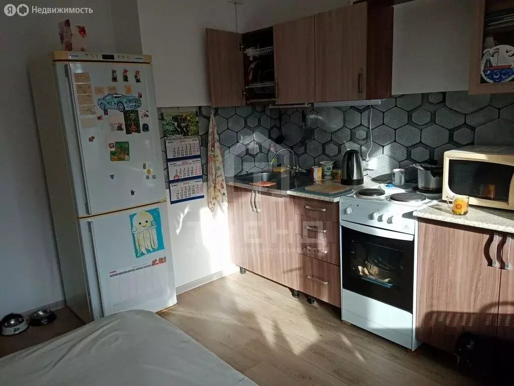 Квартира-студия: Мурино, Екатерининская улица, 3/4 (21.93 м) - Фото 2