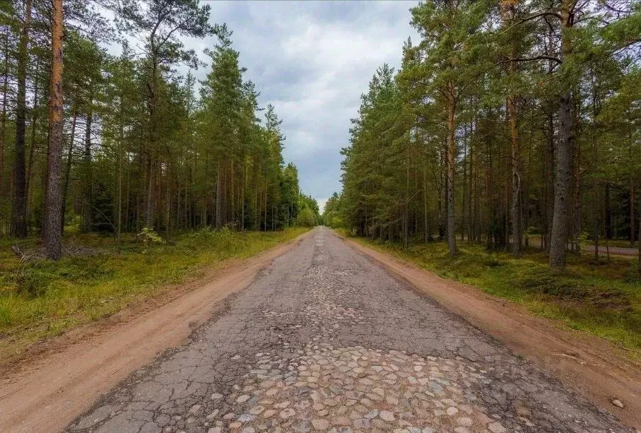 Участок в Ленинградская область, Кингисеппский район, Усть-Лужское ... - Фото 2