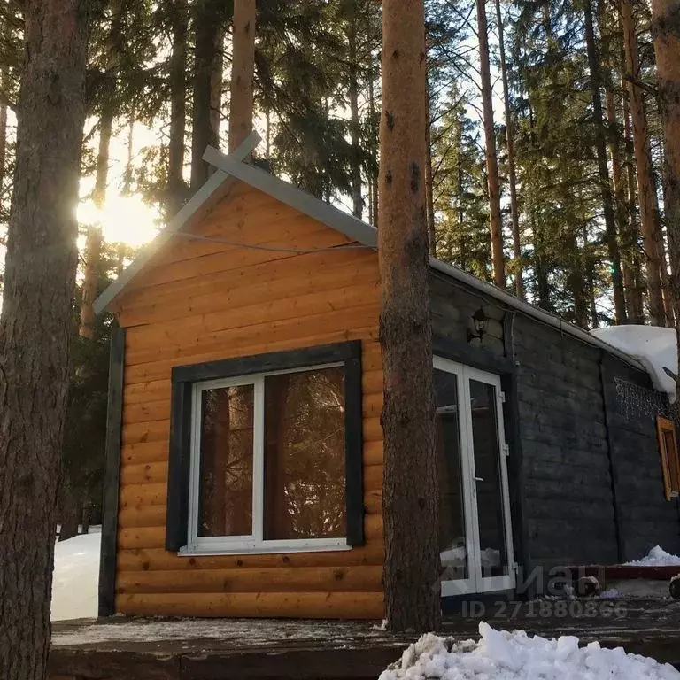 Дом в Пермский край, Чайковский городской округ, пос. Прикамский ул. ... - Фото 0