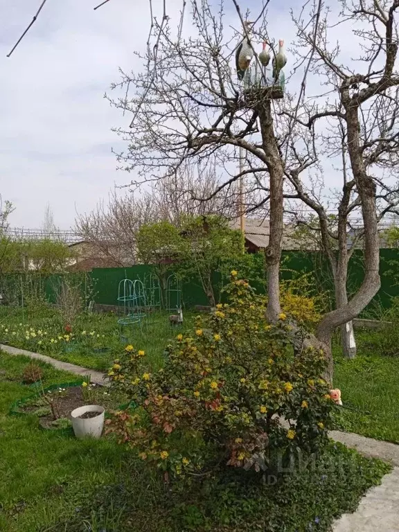 Участок в Ростовская область, Ростов-на-Дону 2-я Часовая ул. (9.0 ... - Фото 1