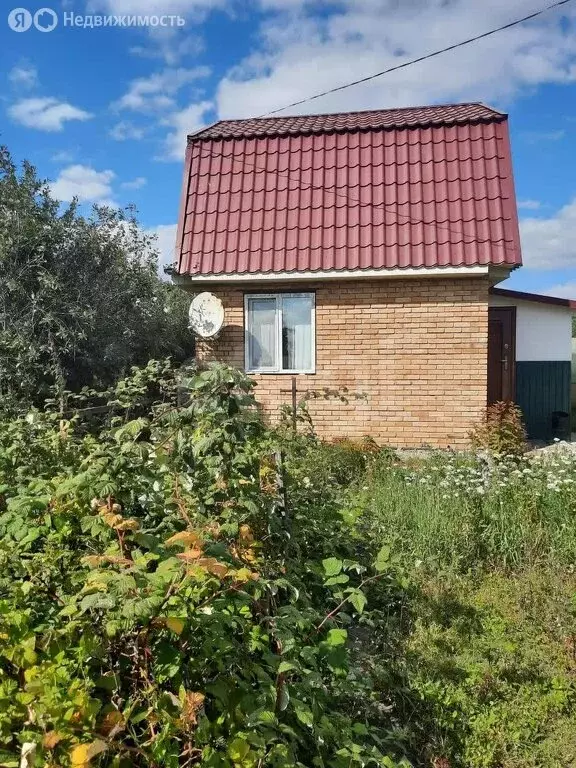 Дом в Омск, территория СОСН Сибирский Садовод-9, 3-я аллея (30 м) - Фото 0