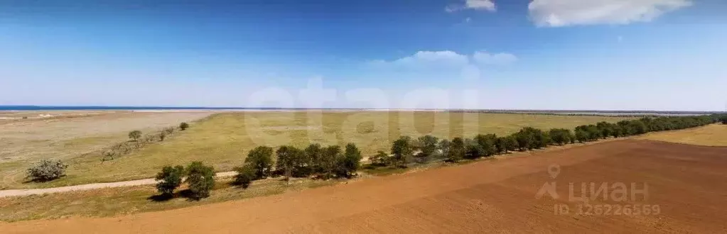 Участок в Крым, Раздольненский район, Чернышевское с/пос, с. Чернышево ... - Фото 1