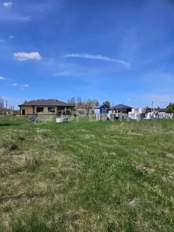 Участок в Тюменская область, Тюменский муниципальный округ, с. Княжево ... - Фото 2