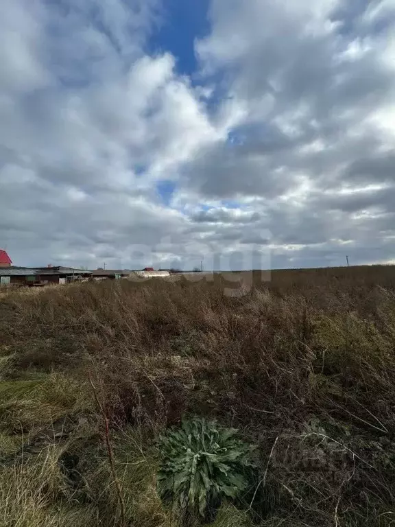 Участок в Свердловская область, Тугулымский муниципальный округ, д. ... - Фото 1