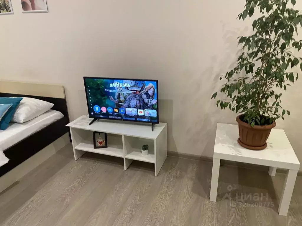 Студия Саратовская область, Саратов проезд 4-й имени Н.Г. ... - Фото 1