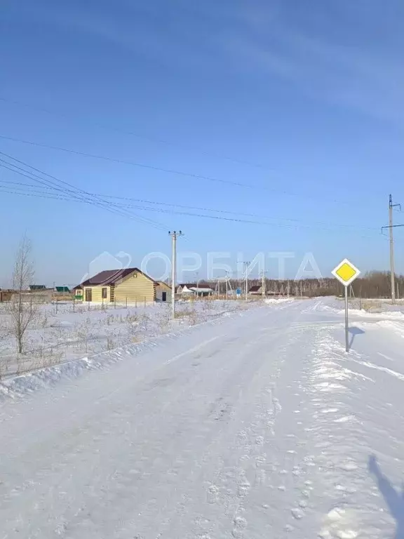 Участок в Тюменская область, Тюменский район, с. Борки  (8.0 сот.) - Фото 1