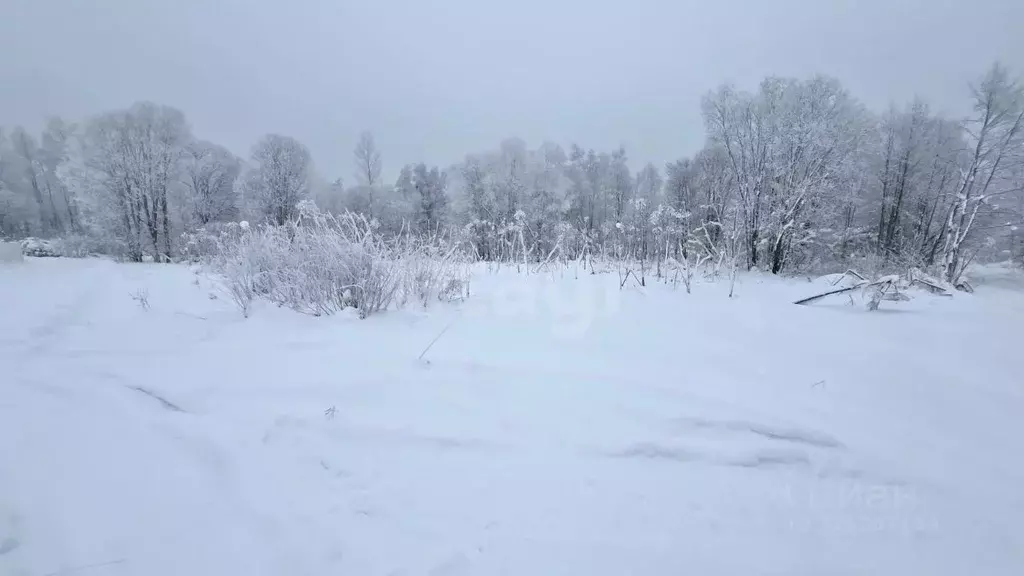 Участок в Ленинградская область, Киришский район, Будогощское ... - Фото 1