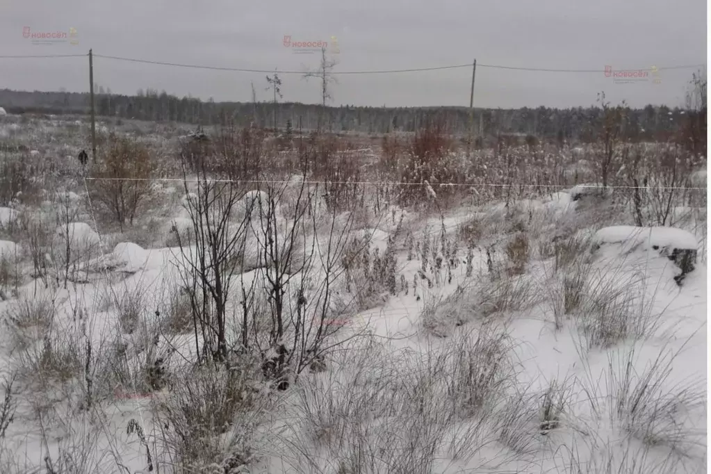 Участок в Свердловская область, Ревда муниципальный округ, с. Кунгурка ... - Фото 1