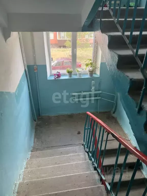 2-к кв. Татарстан, Альметьевск ул. Пушкина, 33 (47.6 м) - Фото 1