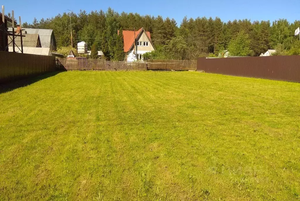 Участок в Пермский край, Осинский муниципальный округ, пос. Рейд ул. ... - Фото 2