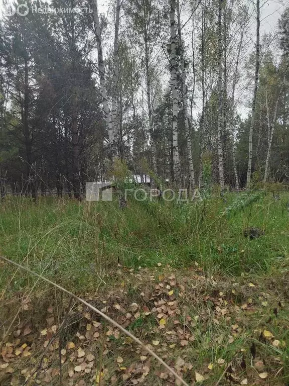 Участок в Морозово, Сосновая улица, 8 (13.45 м) - Фото 1