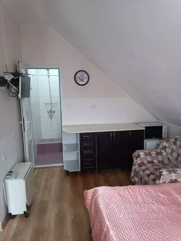 1-к кв. Краснодарский край, Сочи ул. Просвещения, 153Б (12.0 м) - Фото 0