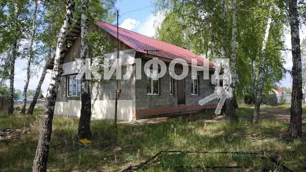 Дом в Новосибирская область, Новосибирский район, Верх-Тулинский ... - Фото 0