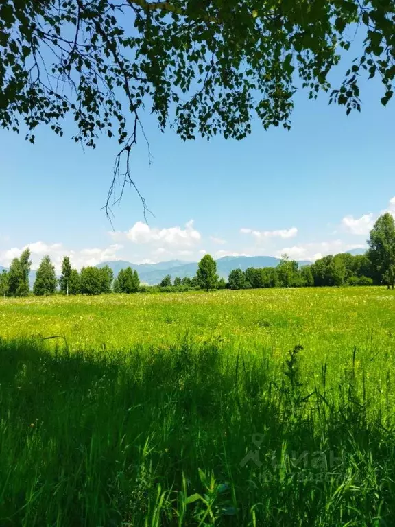 Участок в Алтай, Усть-Коксинский район, с. Горбуново  (100.03 сот.) - Фото 0