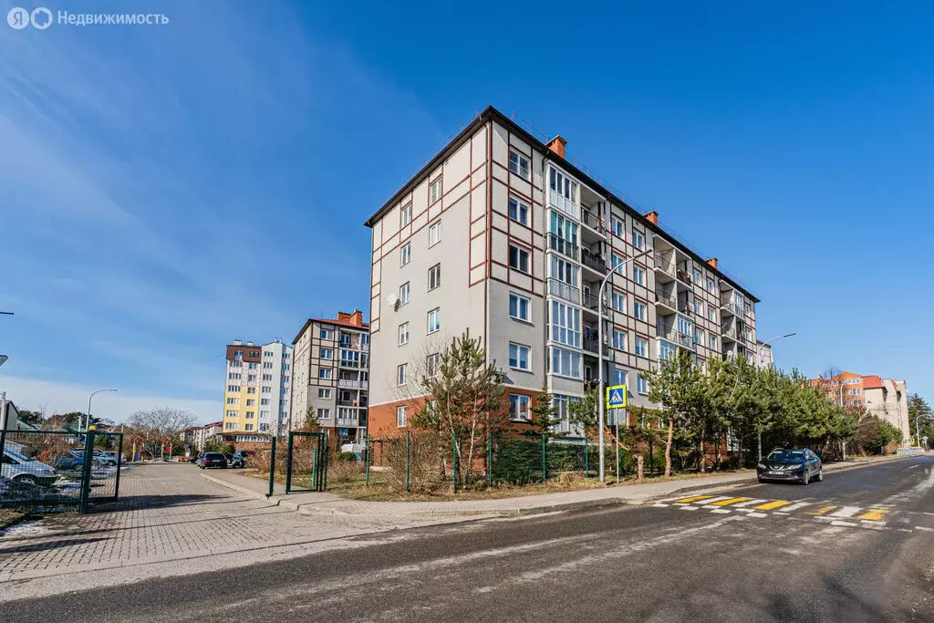 Помещение свободного назначения (3.1 м) - Фото 2