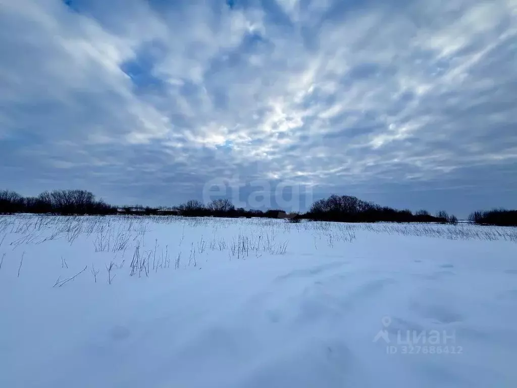 Участок в Архангельская область, Архангельск Зеленец мкр,  (7.58 сот.) - Фото 2