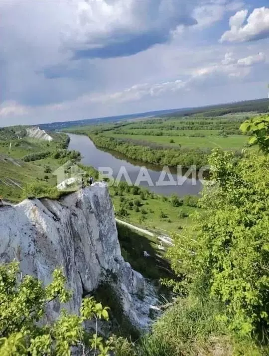 Дом в Воронежская область, Лискинский район, Старохворостанское с/пос, ... - Фото 1