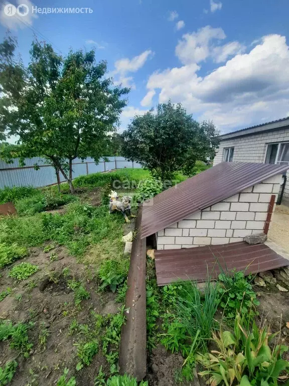 Дом в Рамонский район, село Горожанка (85 м) - Фото 1