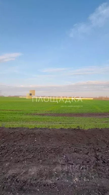 Участок в Ростовская область, Аксайский район, Большелогское с/пос, ... - Фото 1