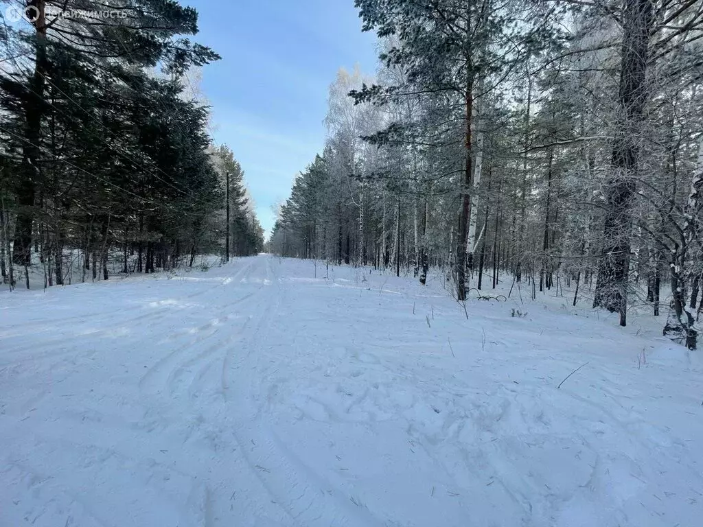 Участок в Иркутский муниципальный округ, Листвянское муниципальное ... - Фото 1