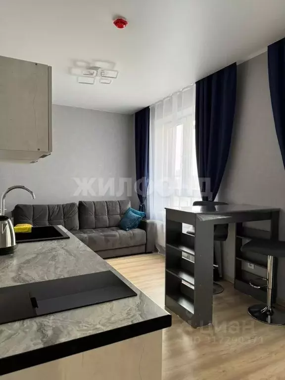 Студия Новосибирская область, Новосибирск ул. Гаранина, 39 (30.0 м) - Фото 1