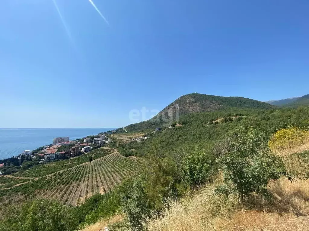 Участок в Крым, Алушта муниципальный округ, с. Лазурное ул. Слуцкого ... - Фото 1