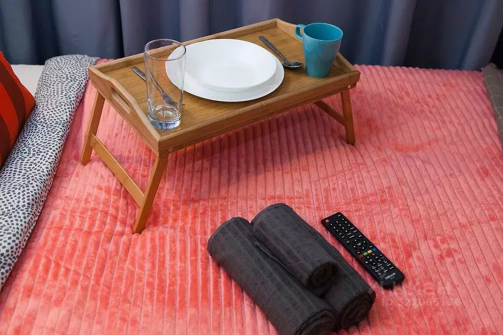 1-к кв. Новосибирская область, Новосибирск Советская ул., 50 (18.0 м) - Фото 2