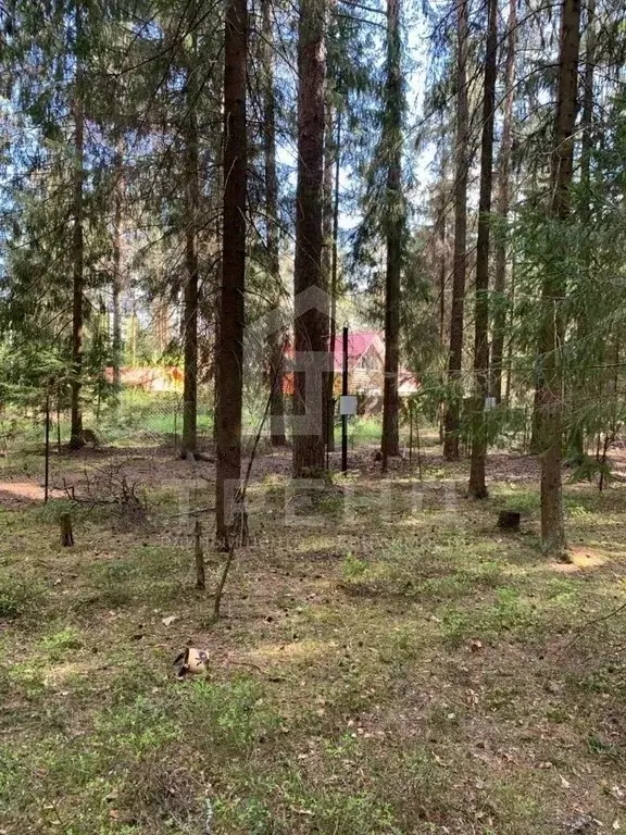 Участок в Ленинградская область, Гатчинский район, Вырица городской ... - Фото 1