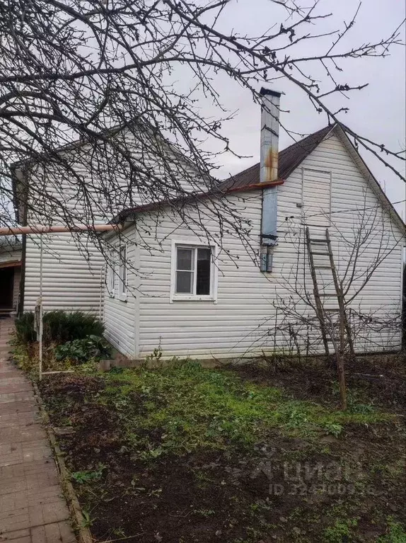 Комната Московская область, Чехов муниципальный округ, пос. Луч ул. ... - Фото 1