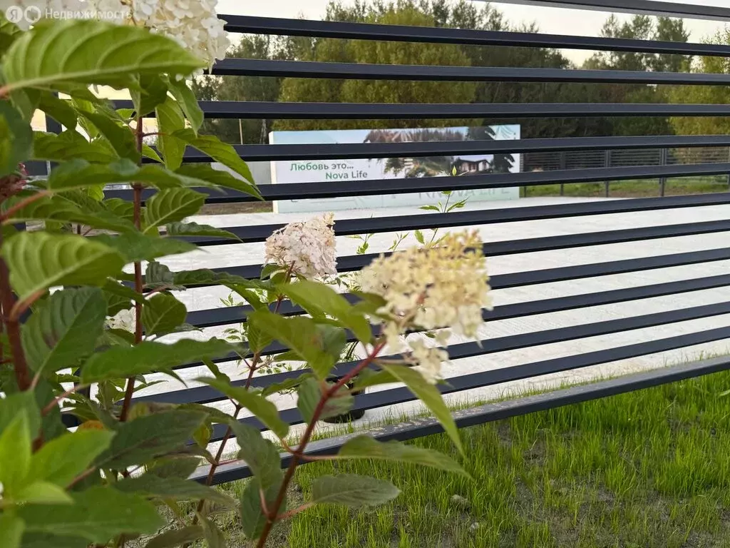 Участок в сельское поселение Малаховское (12.3 м) - Фото 1