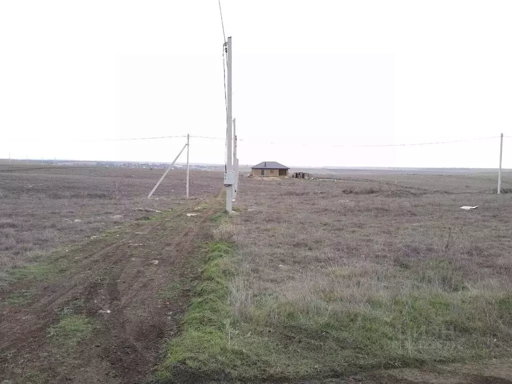 Участок в Крым, Симферопольский район, Родниковское с/пос, Содружество ... - Фото 1