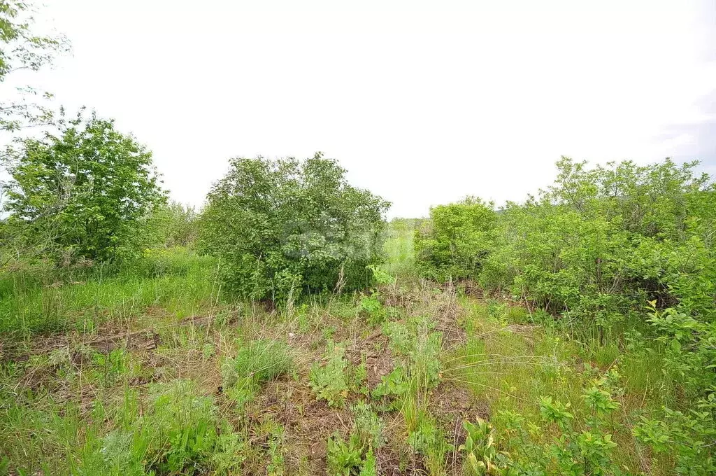 Участок в Ишимбай, СТ Юрматы (6.13 м) - Фото 2