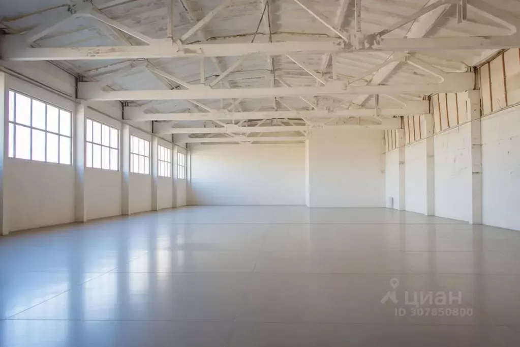 Производственное помещение в Воронежская область, Россошь ул. Мира, ... - Фото 2