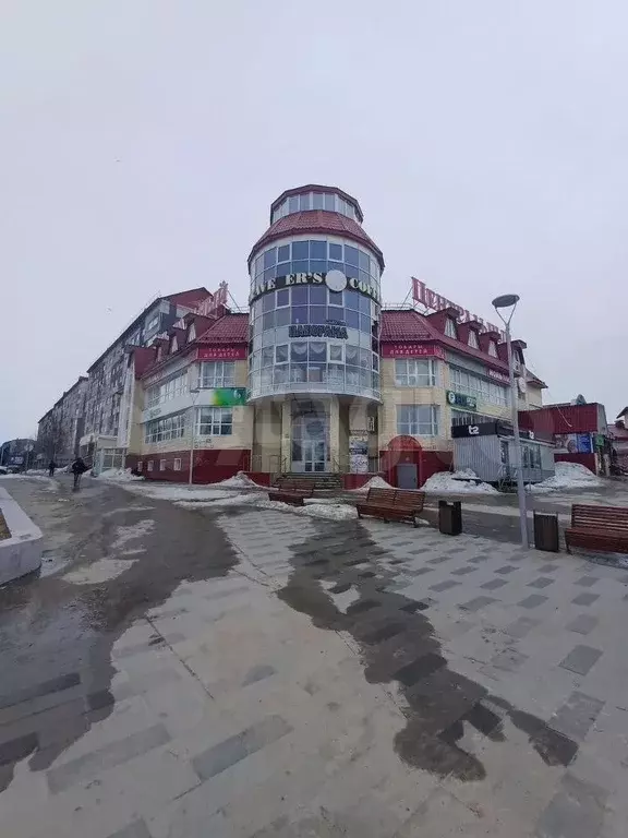 Сдам помещение свободного назначения, 270 м - Фото 1