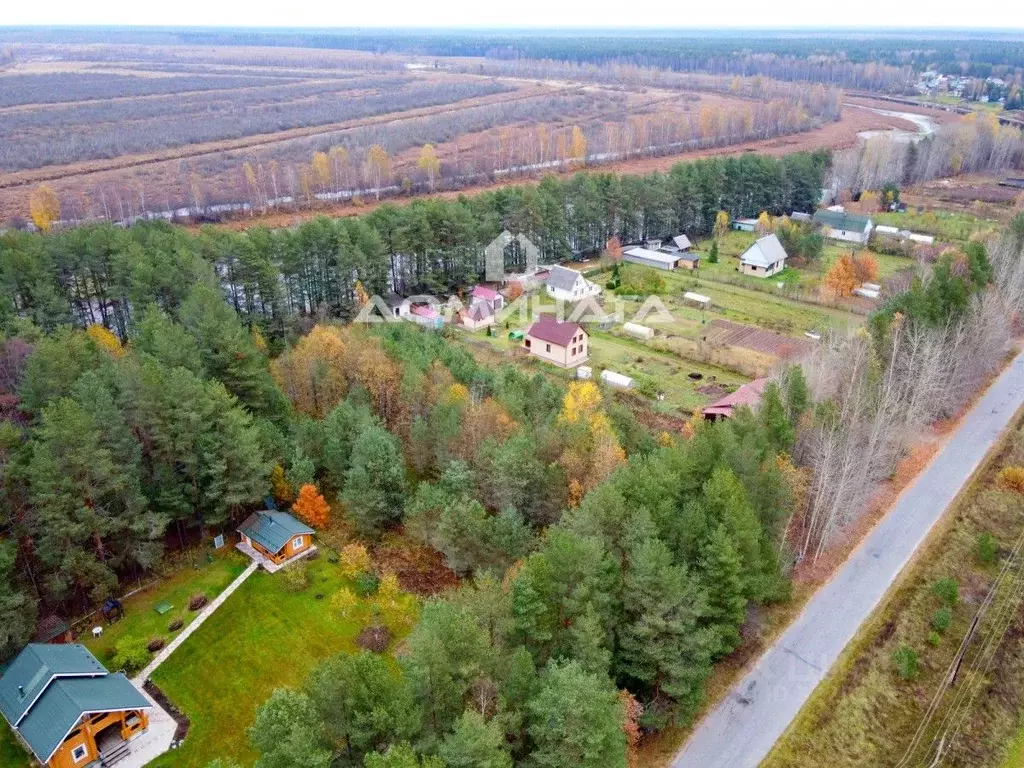 Участок в Ленинградская область, Лодейнопольское городское поселение, ... - Фото 1