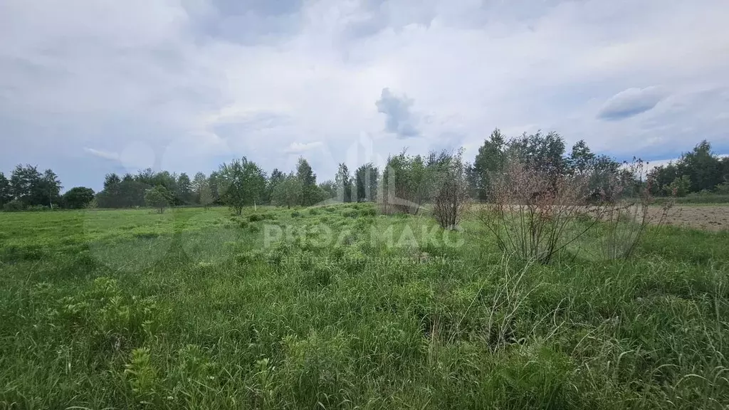 Участок 9 сот. (личное подсобное хозяйство (лпх)) - Фото 0