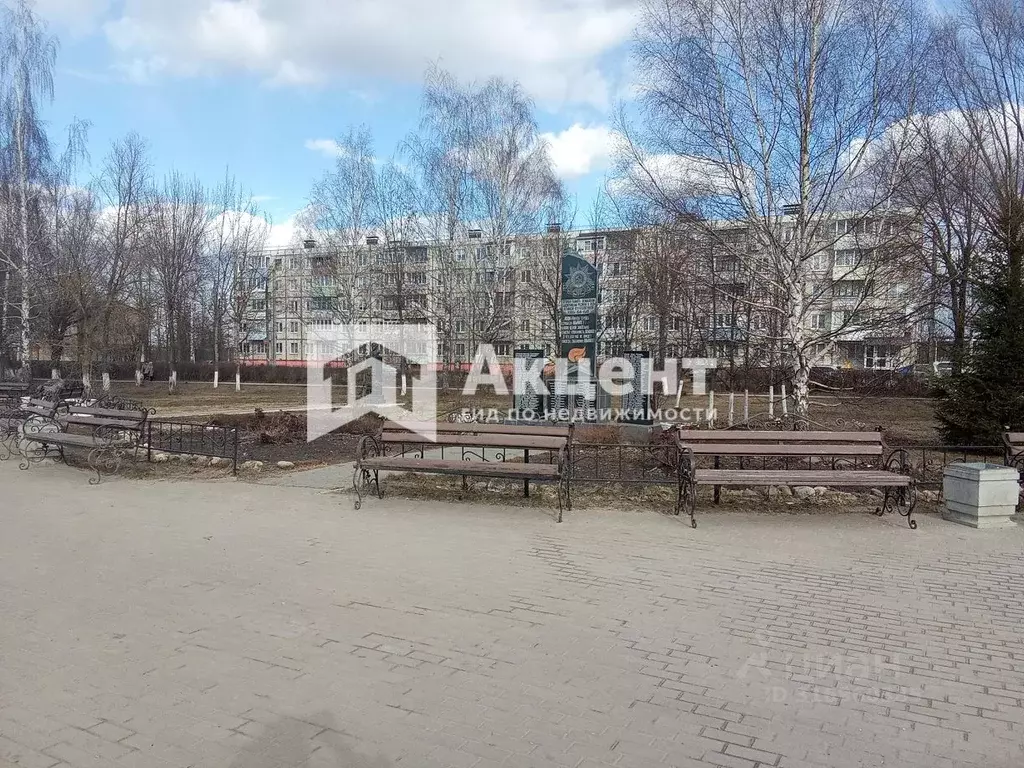 1-к кв. Ивановская область, Ивановский район, с. Ново-Талицы ул. ... - Фото 1