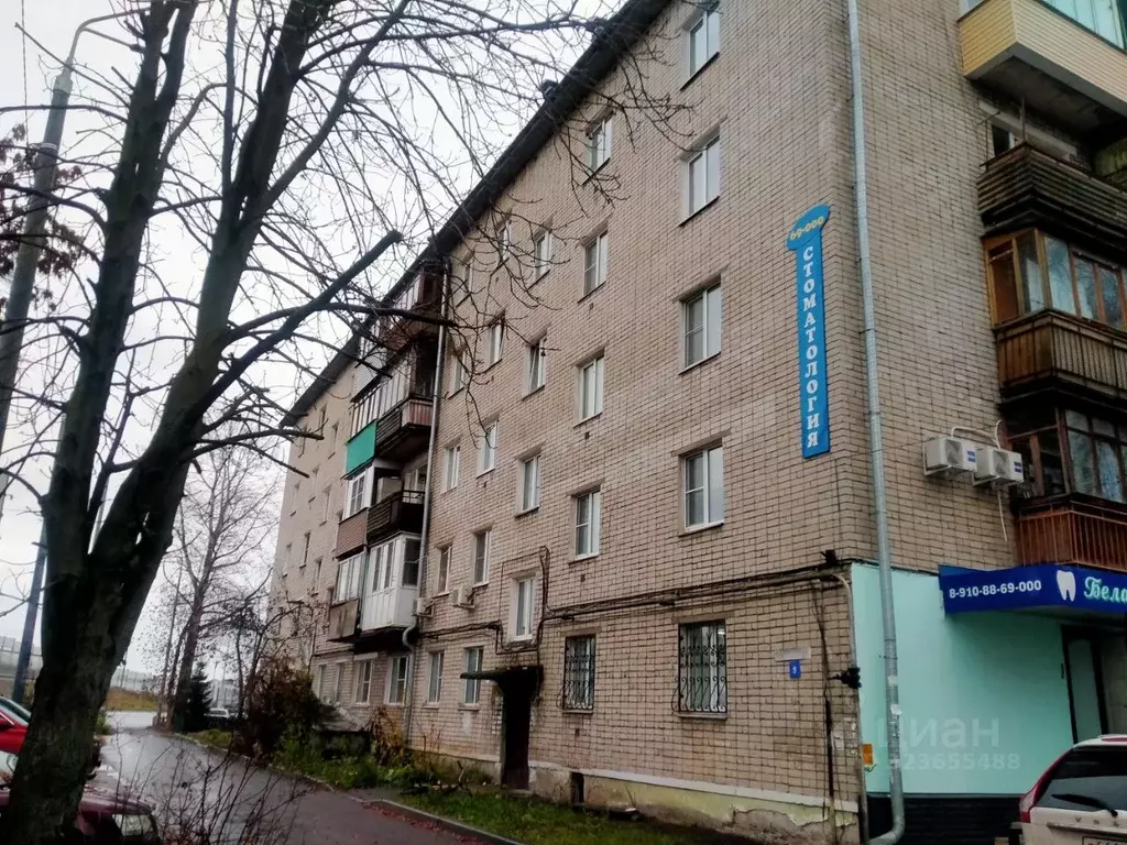 1-к кв. Нижегородская область, Бор муниципальный округ, пос. ... - Фото 1