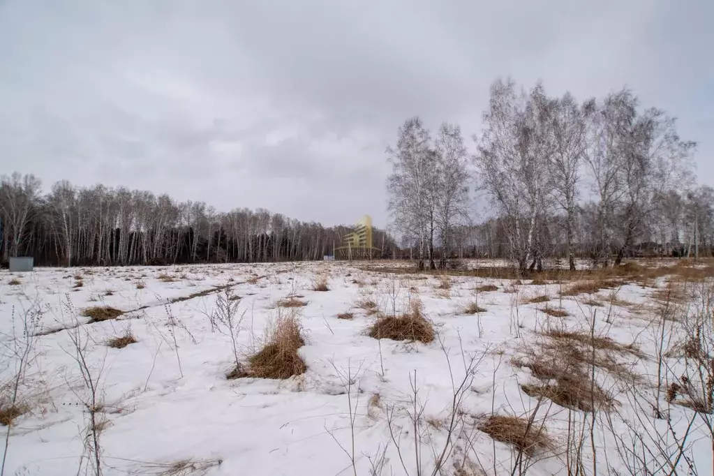 Участок в Новосибирская область, Бердск Раздольный мкр,  (9.6 сот.) - Фото 1