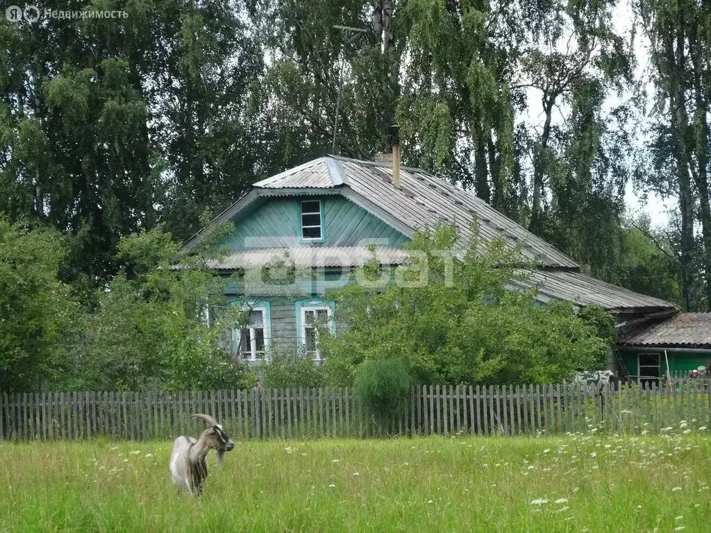 Дом в Костромская область, Шарьинский муниципальный округ, деревня ... - Фото 2