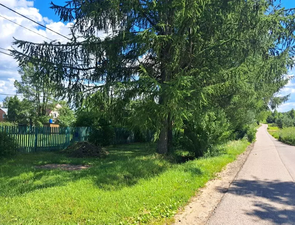 Участок в Московская область, Пушкино Заветы Ильича мкр, ул. ... - Фото 1