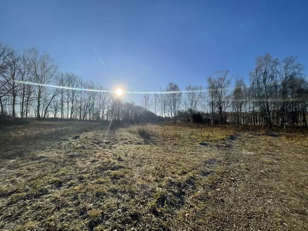 Участок в Нижегородская область, Кстово  (34.39 сот.) - Фото 1