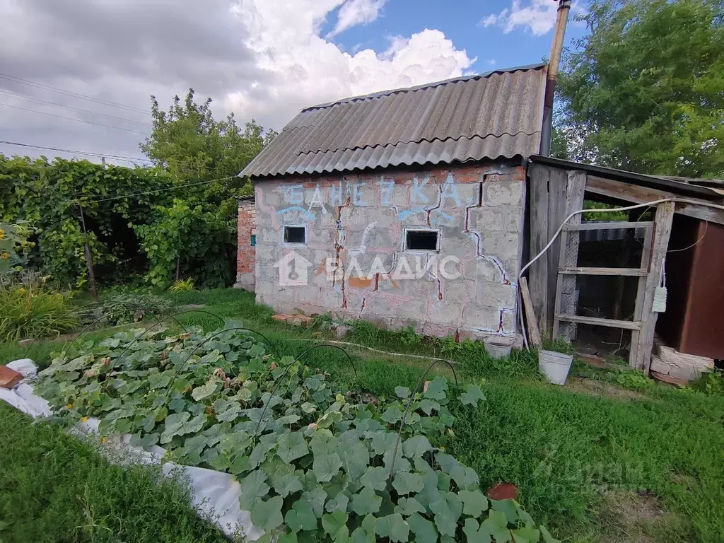 Дом в Саратовская область, Вольский район, Широкобуеракское ... - Фото 1