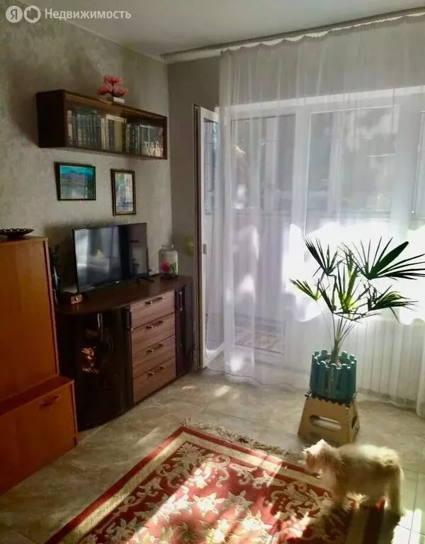 1-комнатная квартира: Партенит, Нагорная улица, 10 (39 м) - Фото 1