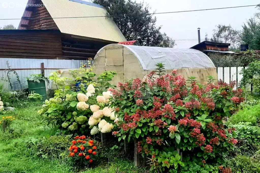 Дом в Томский район, СНТ Лесная дача, Цветочная улица (36 м) - Фото 2