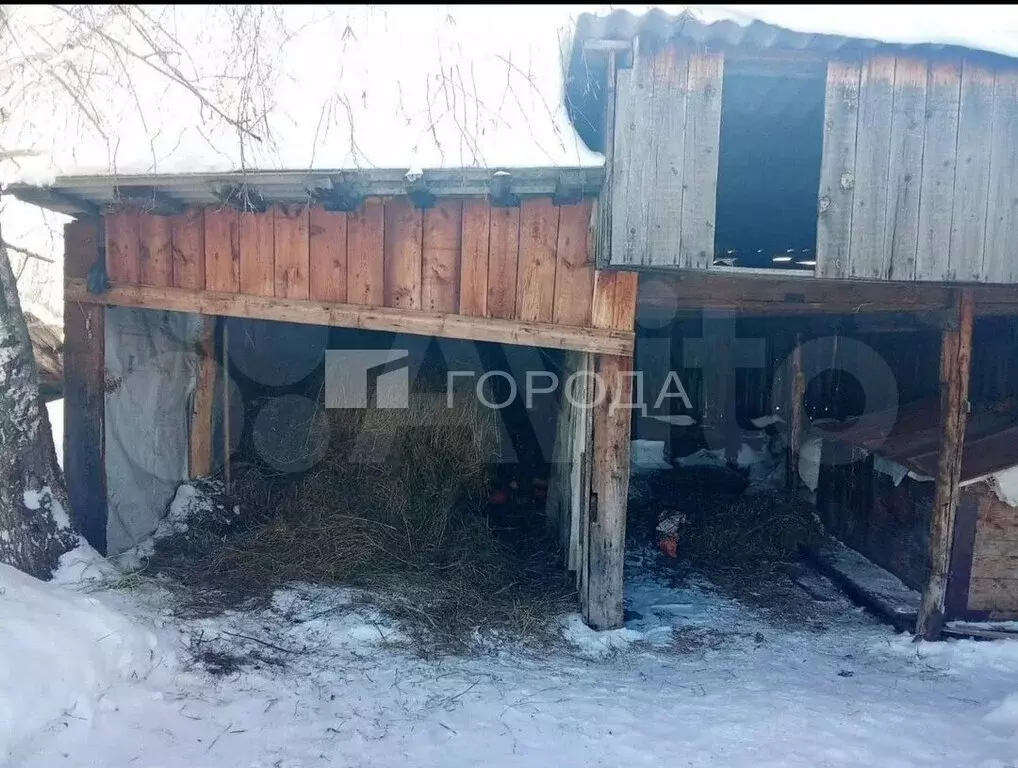 Дом в село Нижнекаменка, улица Ленина, 86 (37 м) - Фото 2